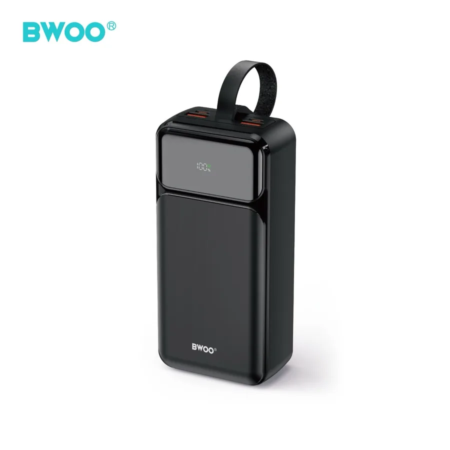 BATTERIE 30 000 MAH · P66